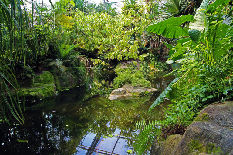 Zoo di Zurigo, Svizzera
