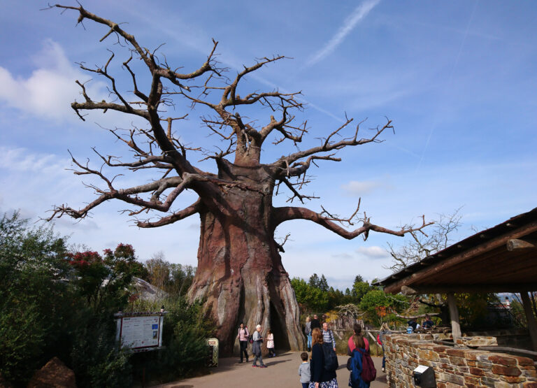 Zoo di Zurigo, Svizzera