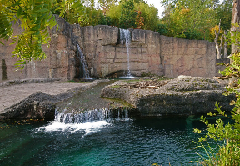 Zoo di Zurigo, Svizzera
