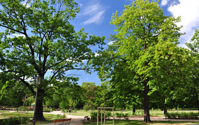 Krasiński Palace and Gardens, Warsaw, Poland