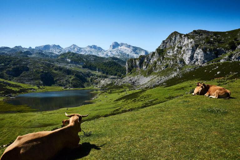 Picos de Europa, España