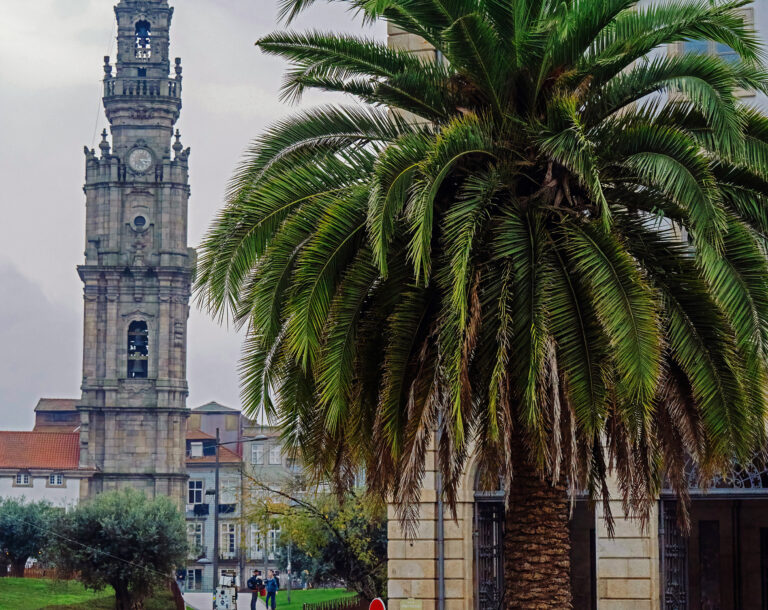Torre de los Clérigos (Torre dos Clérigos), Oporto, Portugal